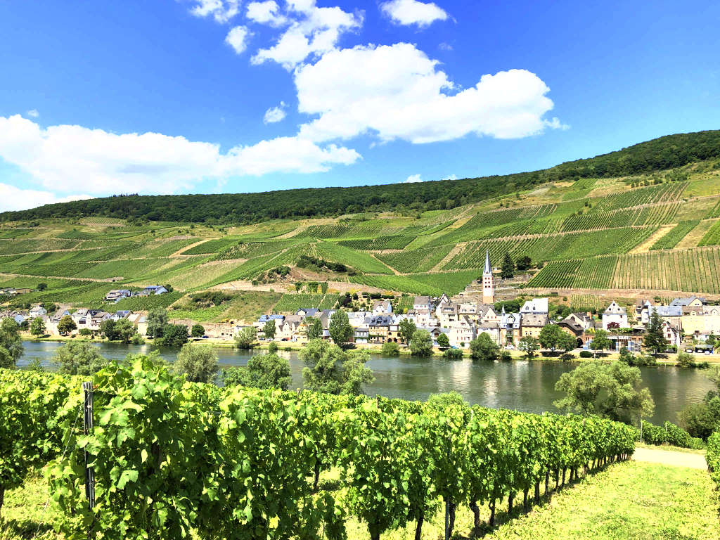 Blick auf Merl, Zell (Mosel) - Urlaub an der Mosel in Frienwohnungen Merl, Zandtstraße 9, 56856 Zell (Mosel)