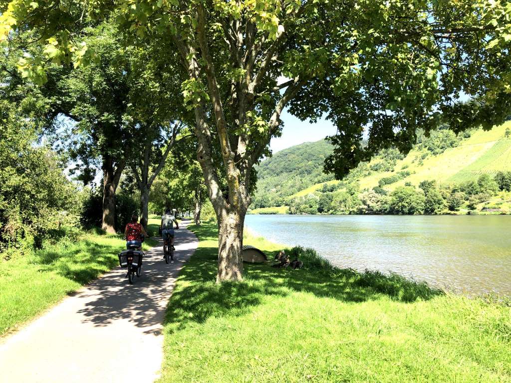 Mosel Radweg bei Alf (Mosel) - Moselurlaub in Frienwohnungen Merl, Zandtstraße 9, 56856 Zell (Mosel)