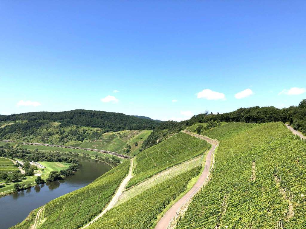 Wanderung zum Prinzenkopf bei der Marienburg - Moselurlaub in Frienwohnungen Merl, Zandtstraße 9, 56856 Zell (Mosel)