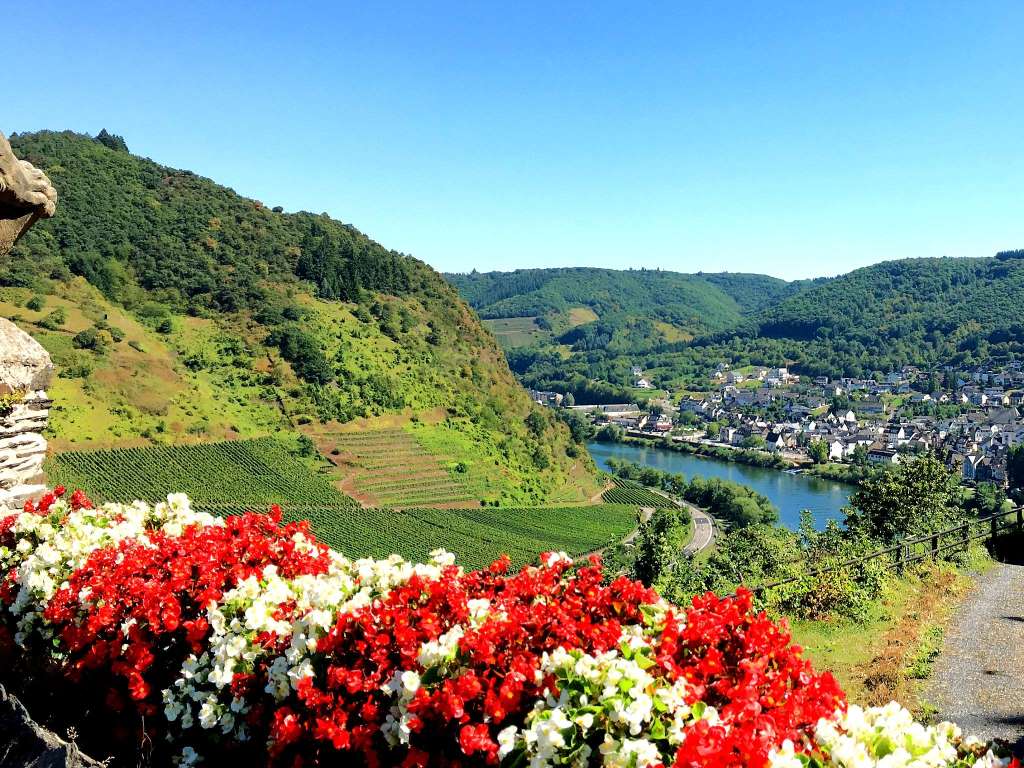 Blick von der Reichsburg in Cochem - Moselurlaub in Frienwohnungen Merl, Zandtstraße 9, 56856 Zell (Mosel)