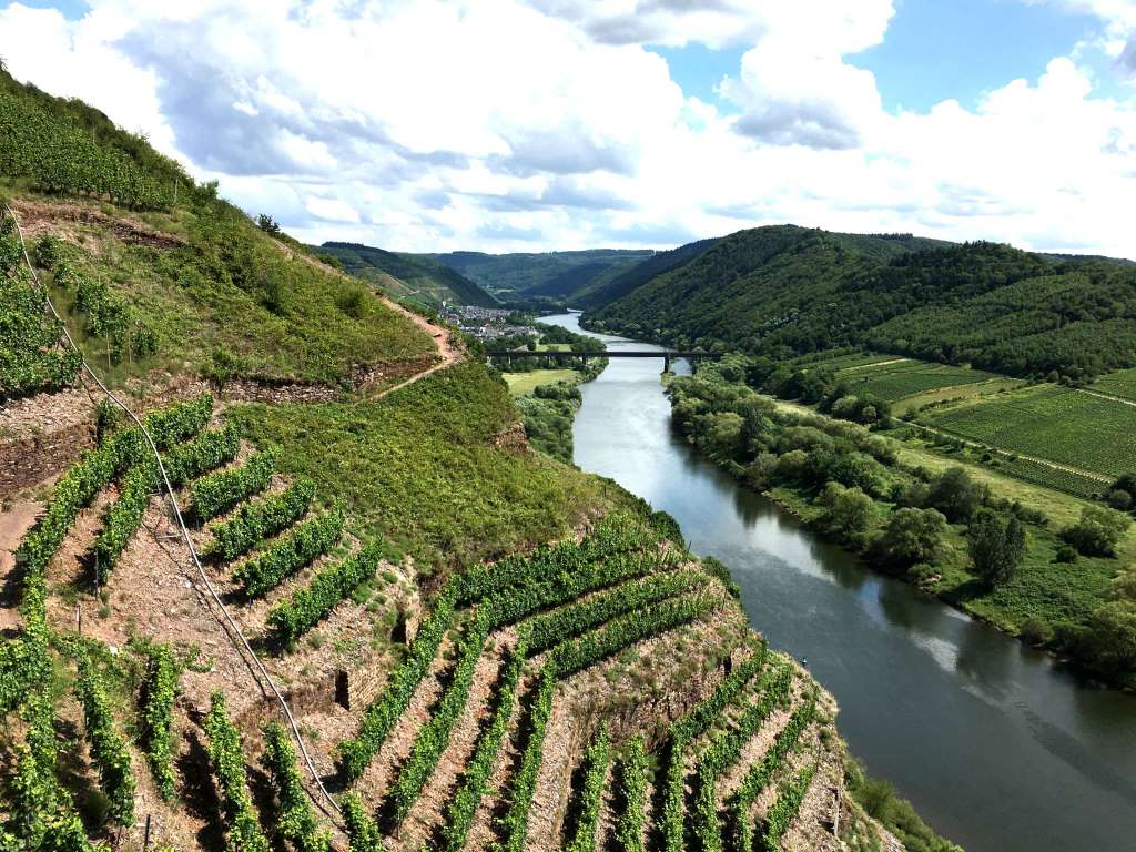 Mosel Radweg von Zell (Mosel) zum Ortsteil Merl - Urlaub an der Mosel in Frienwohnungen Merl, Zandtstraße 9, 56856 Zell (Mosel)