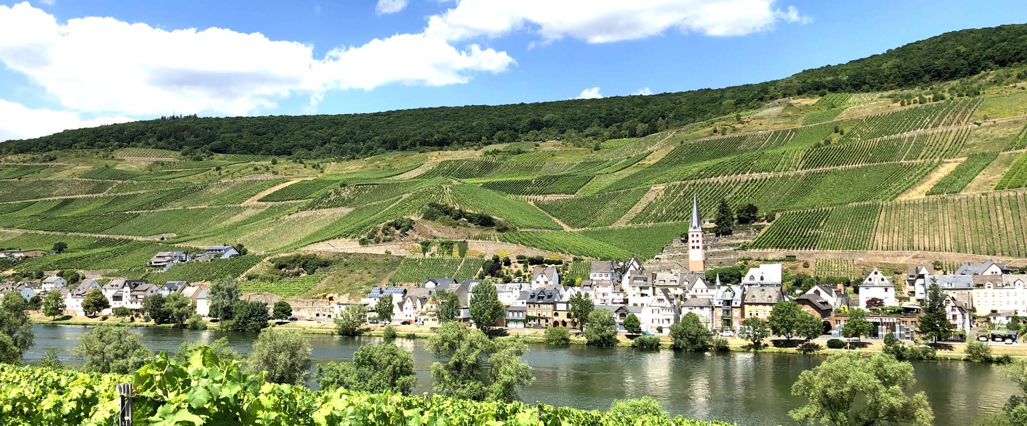 Blick auf Merl, Zell (Mosel) - Moselurlaub in Frienwohnungen Merl, Zandtstraße 9, 56856 Zell (Mosel)